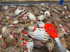 -半岛听涛蒸汽海鲜自助(K11店)