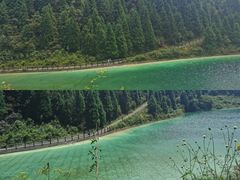 -武陵山森林公园