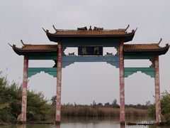 -泗洪洪泽湖湿地景区