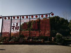 -合肥滨湖国家森林公园