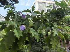 -国家植物园南园