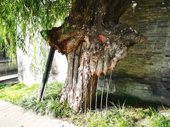 -元大都城垣遗址公园