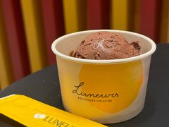 黑巧克力冰淇淋-LUNEURS月乐诗·法式冰淇淋(北外滩来福士广场店)
