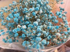 -万象影城(深圳布吉万象汇IMAX店)