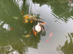 -三里河公园