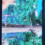 特色推荐： 熊出没  实用tips： 挺好看的一部国