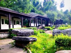 -黑龙江省森林植物园