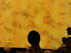 -沈阳海洋探索中心