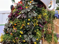 -深圳仙湖植物园