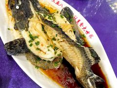 -三亚新鸿港水果一级批发市场