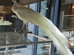 -渝半城经典川粤菜(重庆天地店)