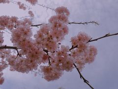 -南山植物园
