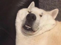 -上海市第七人民医院