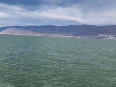 -洱海月湿地公园