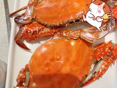 -大锅强·蒸海鲜青岛菜(金沙滩店)