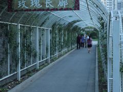 -太阳宫公园