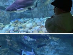 -泉城欧乐堡海洋极地世界
