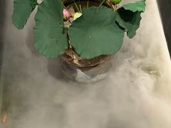 -单家老院·院子里的青岛菜(沙子口店)