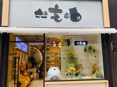 -山宅一喵德文卷毛猫舍