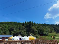 -武陵山森林公园