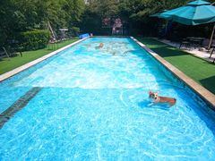 -汪说喵讲宠物乐园宠物酒店(红星美凯龙店)