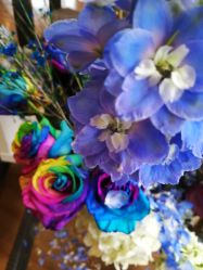 -轩舞汇·爵士舞街舞训练营