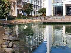 -苏州香山国际大酒店