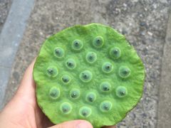 -韶山毛泽东同志故居