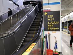 -东方体育中心(地铁站)
