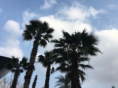 -宁波九龙湖开元度假村