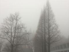 -四明山国家森林公园