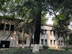 -南京中国近代史遗址博物馆(南京总统府)