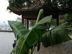 android_upload_pic-湖南烈士公园(芙蓉区)
