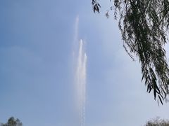 -临沂动植物园