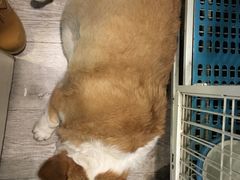 -小时光咖啡馆(北锣鼓巷店)