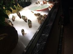 -甄品麦哲伦海鲜和牛自助(万达广场店)