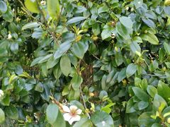 -黄金沟旅游风景区