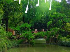 -上海醉白池公园
