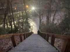 -云碧峰国家森林公园