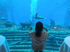 -亚特兰蒂斯•OSSIANO奥西亚诺海底餐厅