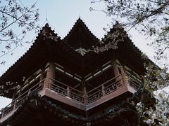-西安青龙寺遗址景区