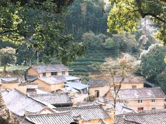 -杨家堂村