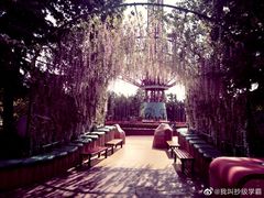 -青岛方特梦幻王国