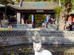 -晋祠公园