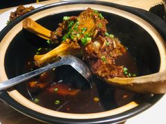 -牛的平方·牛骨鲜炖
