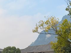 -娄山关景区