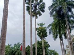 -中国科学院西双版纳热带植物园