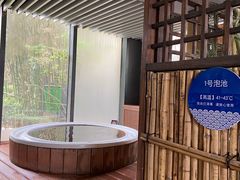 -春晖园度假酒店温泉