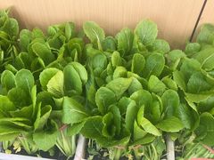 -聚缘堂·海鲜私房菜(松岭路店)