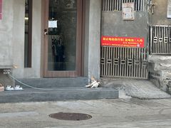 -Again Coffee Roaster(香蜜湖店)